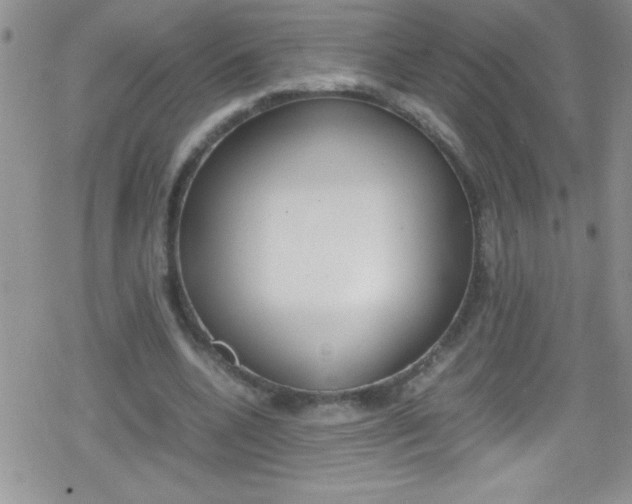 X0000079340536200612082027