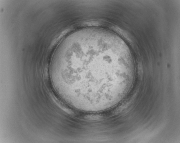 X0000079340537200612082027