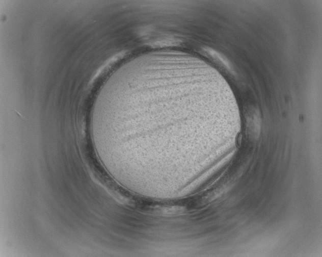 X0000079340539200612082027