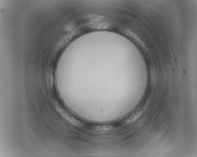 X0000079340541200612082027