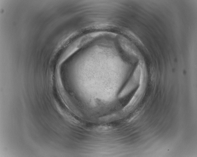 X0000079340542200612082027