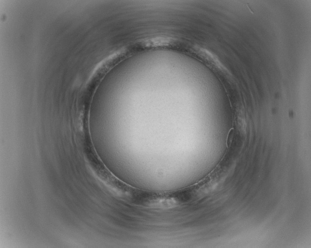 X0000079340543200612082027