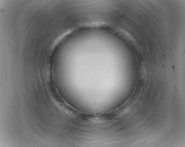 X0000079340544200612082027