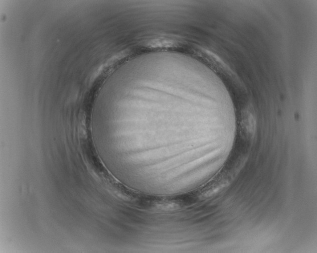 X0000079340547200612082027