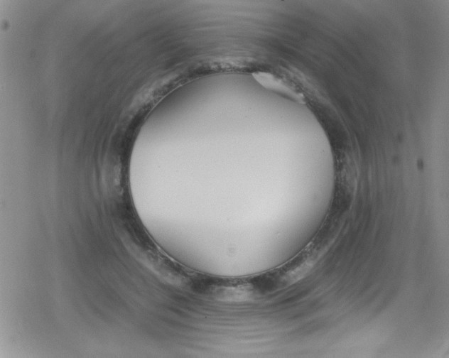 X0000079340548200612082027