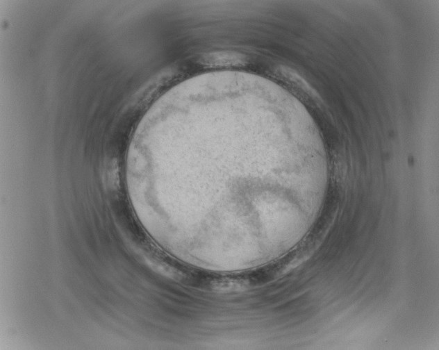 X0000079340549200612082027