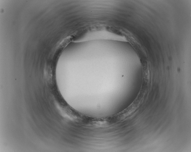 X0000079340552200612082027