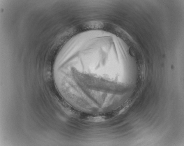 X0000079340553200612082027