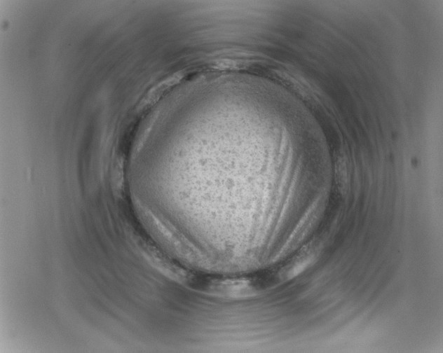 X0000079340554200612082027