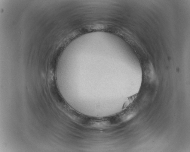 X0000079340555200612082027