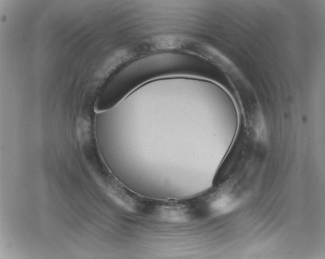 X0000079340556200612082027