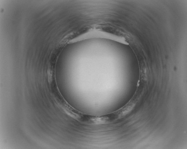 X0000079340558200612082027