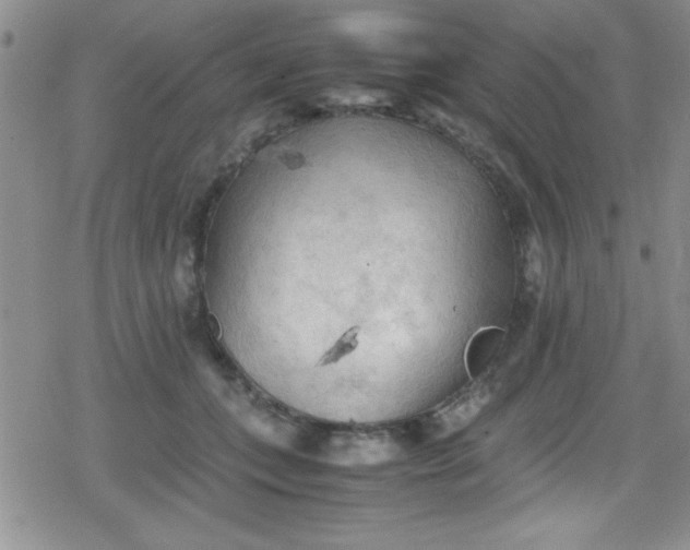 X0000079340559200612082027