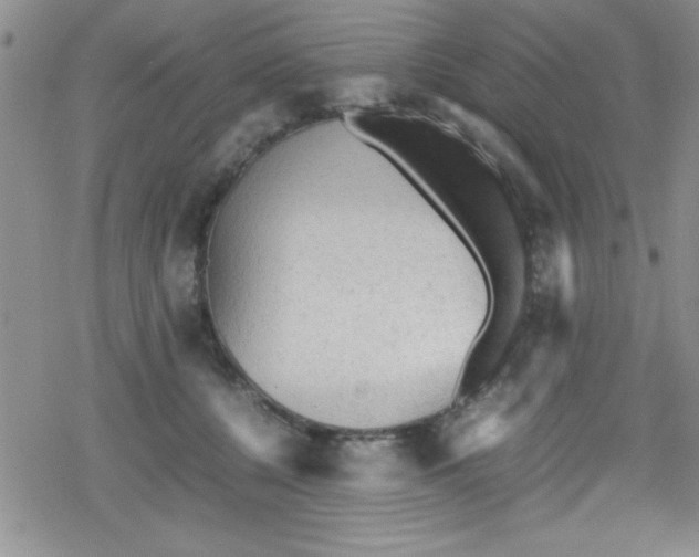 X0000079340560200612082027