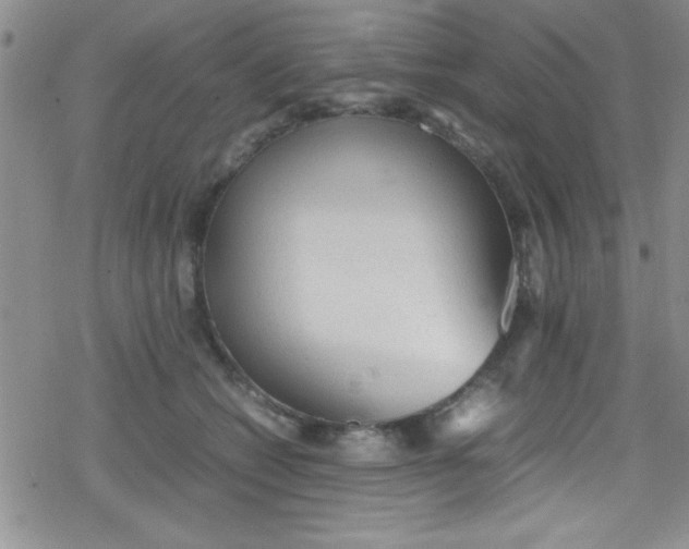 X0000079340562200612082027