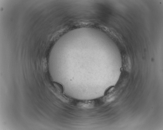 X0000079340563200612082027