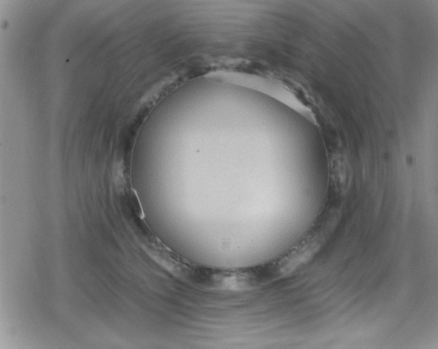 X0000079340564200612082027