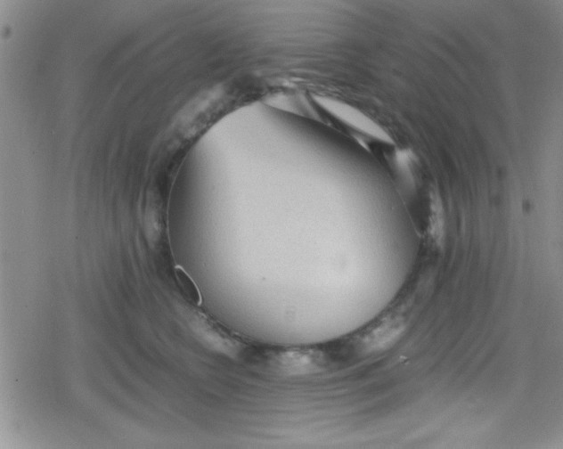 X0000079340566200612082027