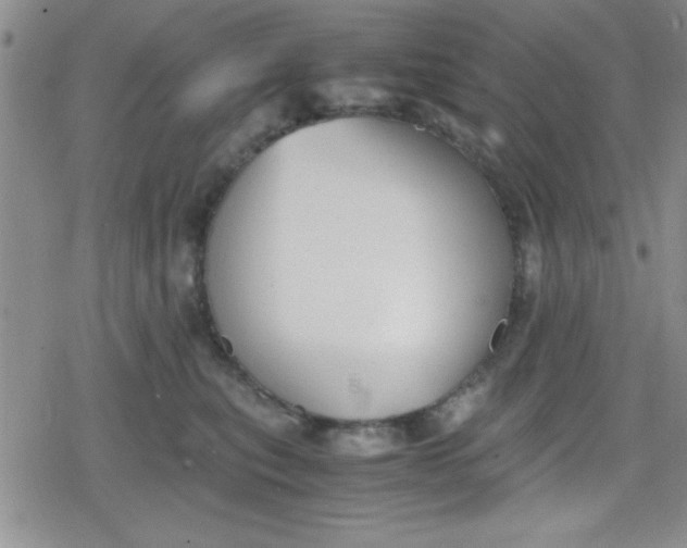 X0000079340567200612082027