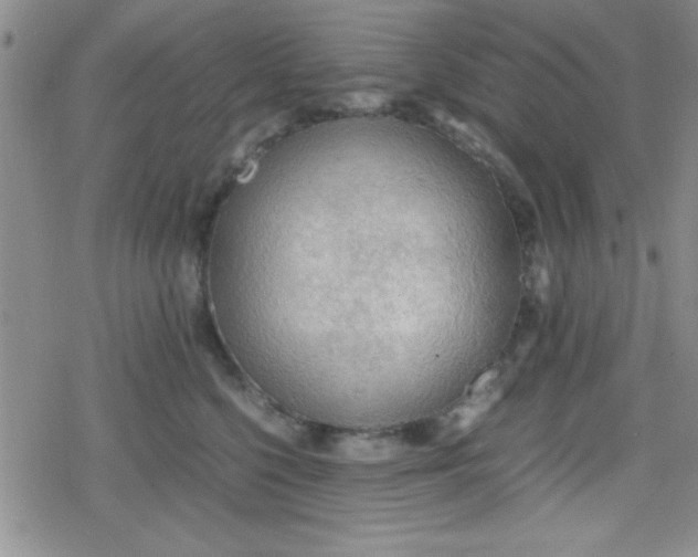 X0000079340568200612082027