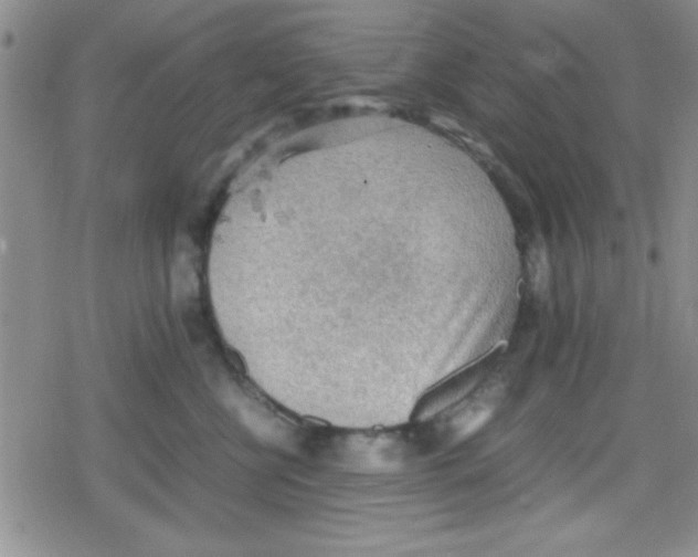 X0000079340570200612082027