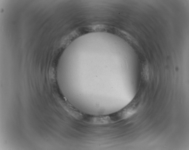 X0000079340571200612082027