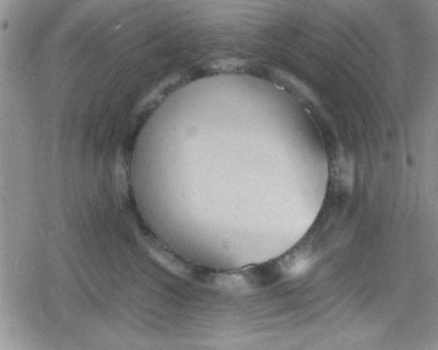 X0000079340572200612082027