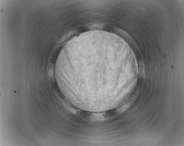 X0000079340573200612082027