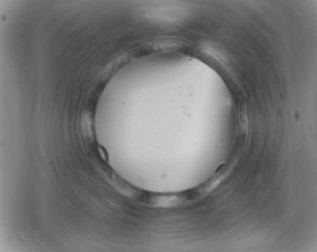 X0000079340575200612082027