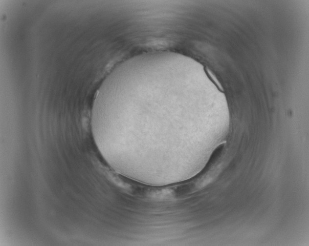 X0000079340576200612082027