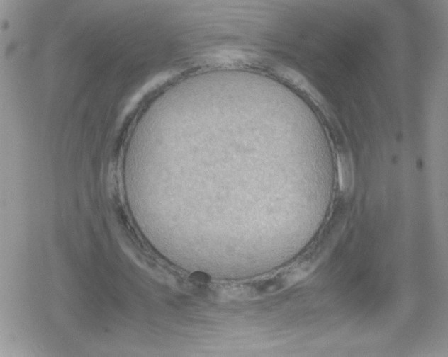 X0000079340579200612082026