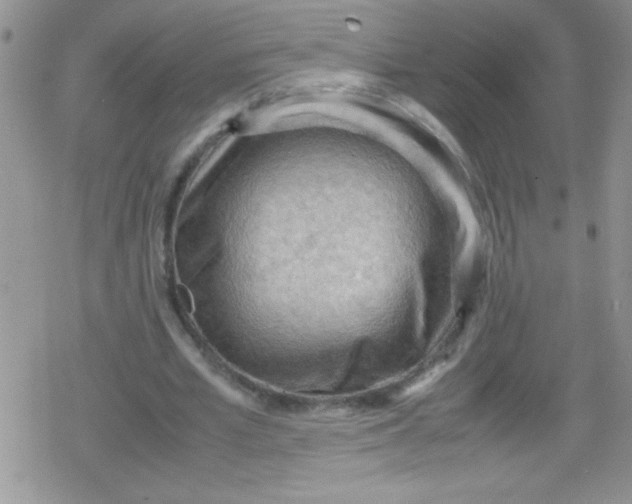 X0000079340581200612082026