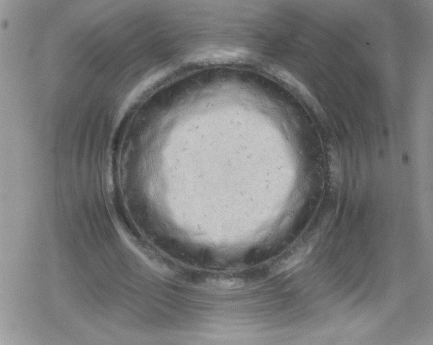 X0000079340582200612082026