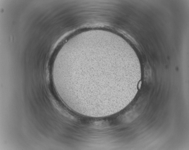 X0000079340584200612082026