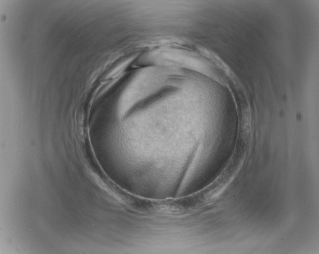 X0000079340585200612082026