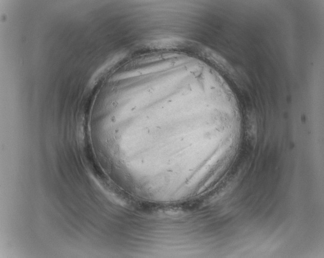 X0000079340586200612082026