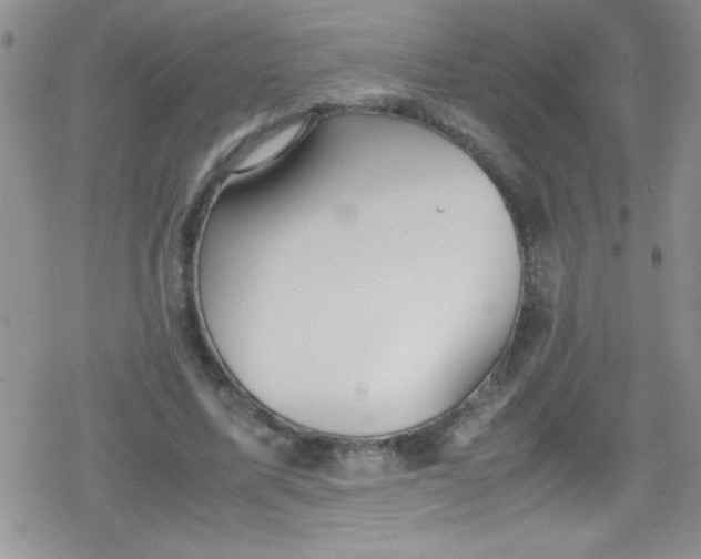 X0000079340587200612082026