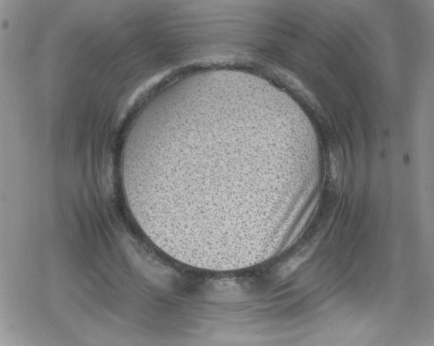 X0000079340588200612082026