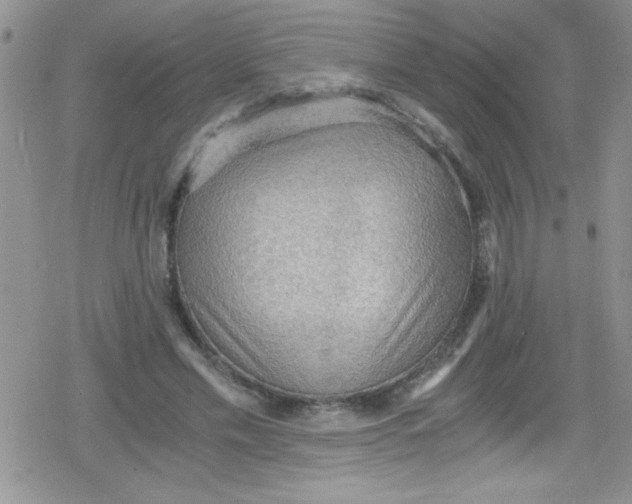 X0000079340589200612082026