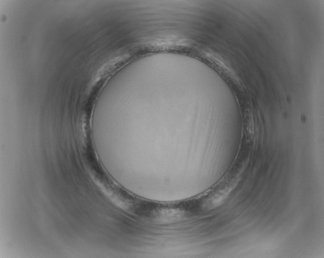 X0000079340590200612082026