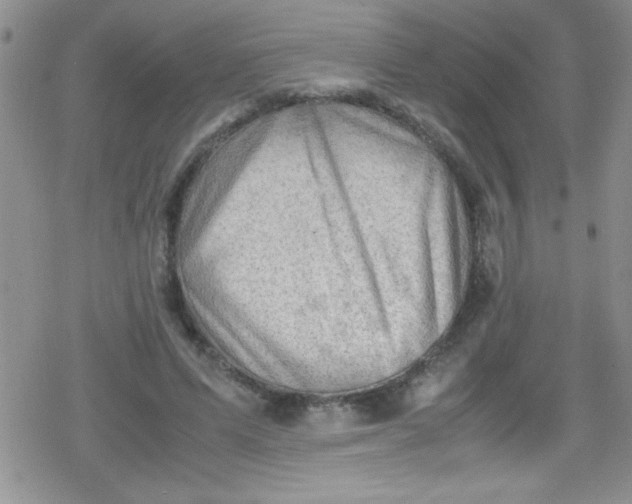 X0000079340591200612082026