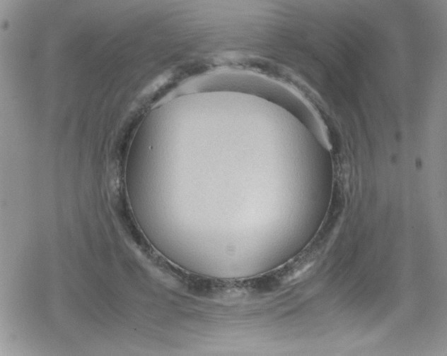 X0000079340593200612082026