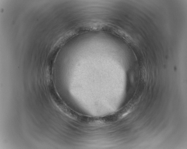 X0000079340594200612082026