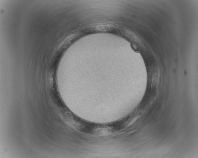 X0000079340595200612082026