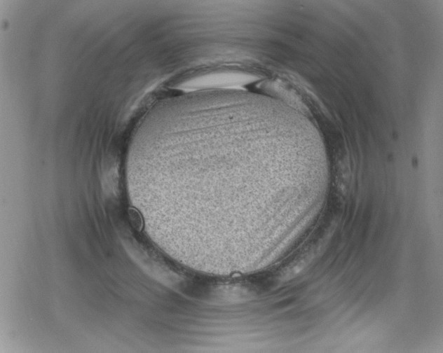 X0000079340596200612082026