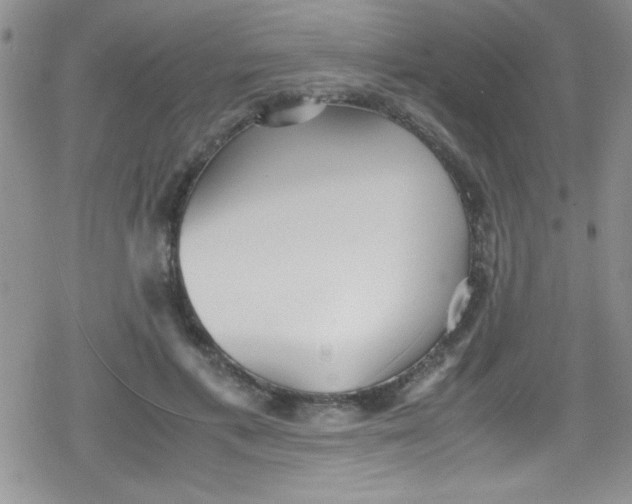 X0000079340597200612082026