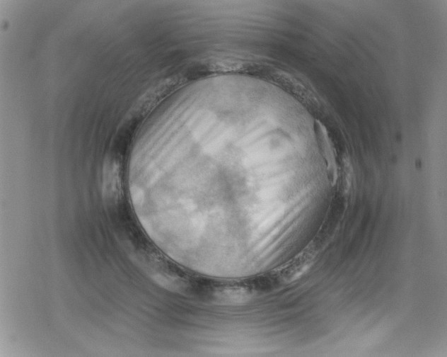 X0000079340598200612082026