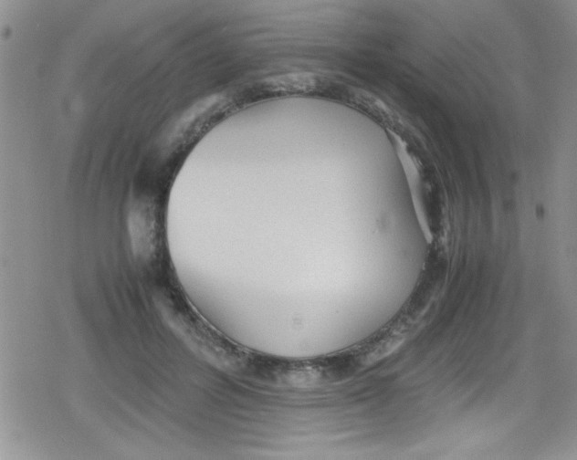 X0000079340600200612082026