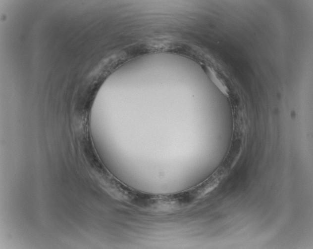 X0000079340601200612082026