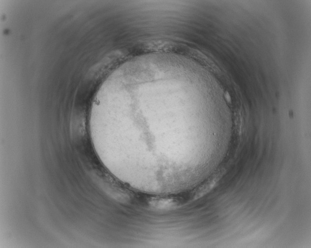 X0000079340602200612082026